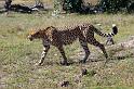 20090615_132916 D3 X1